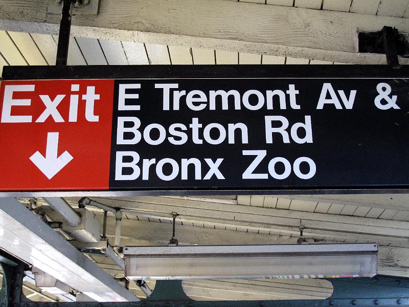 NY (341).JPG